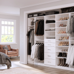 6504bbcb99521980f8dab544_Reach-in Closet OGI